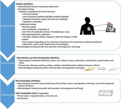 Human pericardial extracellular matrix: An implantation platform for cardiac tissue engineering